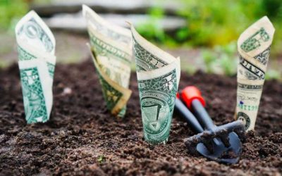 Understanding Growth and Value Investing