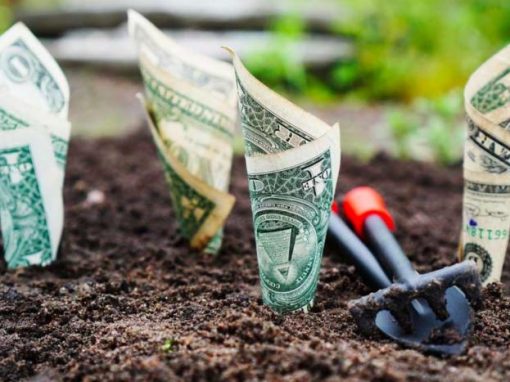 building an investment portfolio