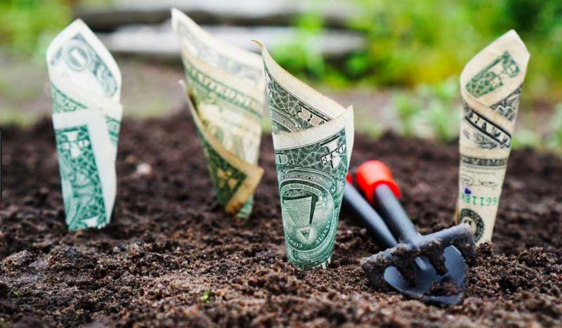 Building an Investment Portfolio